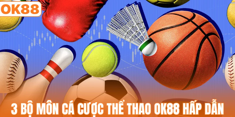3 bộ môn cá cược thể thao OK88 hấp dẫn