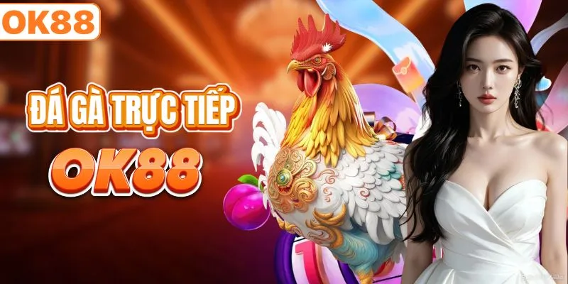Cược đá gà trực tiếp từ các sới đấu uy tín nhất