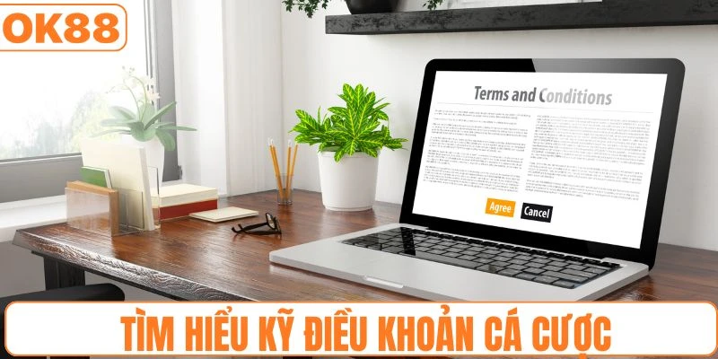 Hội viên cần tìm hiểu kỹ quy định của từng loại trò chơi