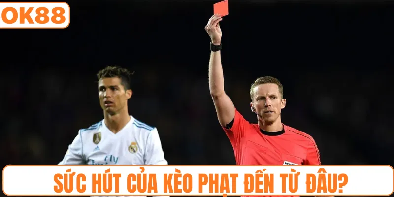 Sức hút của kèo phạt đến từ đâu?
